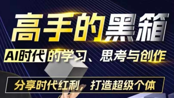 高手的黑箱：AI时代学习、思考与创作-分红时代红利，打造超级个体_微雨项目网