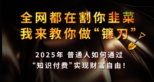 全网都在割你韭菜，我来教你做镰刀，2025年普通人如何通过 知识付费 实现财F自由【揭秘】_微雨项目网