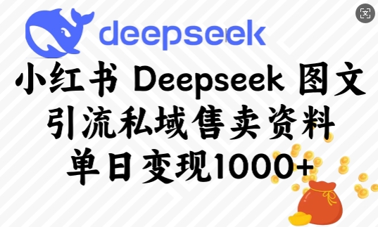 小红书Deepseek图文引流私域售卖资料，单日变现多张_微雨项目网