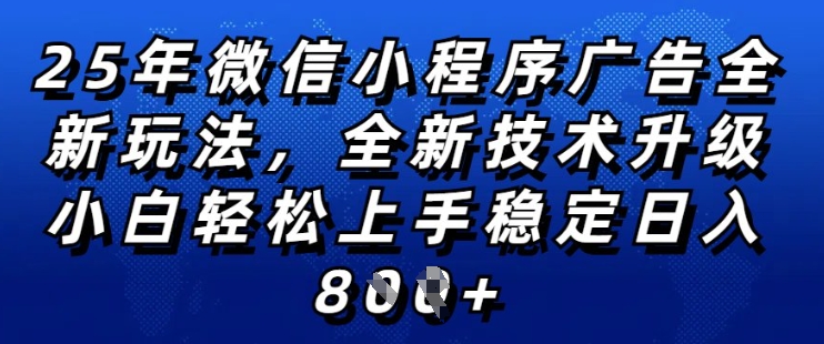 2025年微信小程序全新玩法纯小白易上手，稳定日入多张，技术全新升级，全网首发【揭秘】_微雨项目网