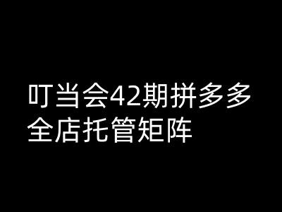 叮当会拼多多打爆班原创高阶技术第42期，拼多多全店托管矩阵_微雨项目网