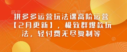 拼多多运营玩法课高阶运营【2月更新】，极致群爆款玩法，轻付费无尽复制等_微雨项目网