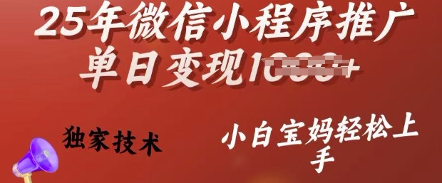 25年微信小程序推广单日变现多张，独家技术，小白宝妈轻松上手【揭秘】_微雨项目网