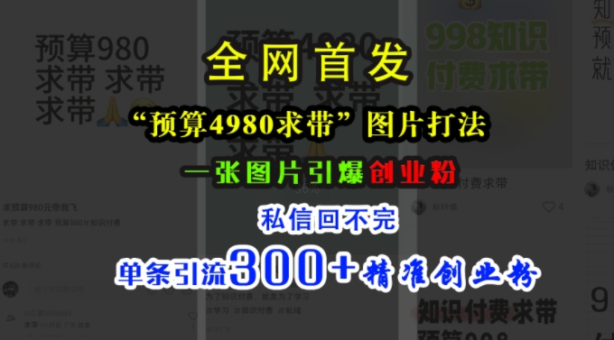 小红书“预算4980带我飞”图片打法，一张图片引爆创业粉，私信回不完，单条引流300+精准创业粉_微雨项目网