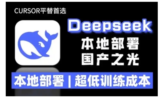 2025年deepseek R1 大型模型本地安装部署(文件+教程)本地部署，超低训练成本_微雨项目网