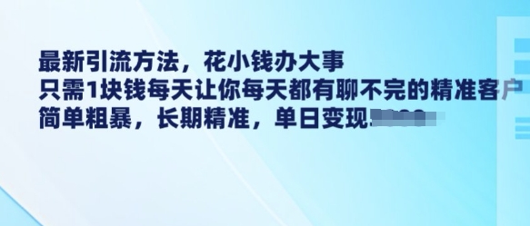 最新引流方法，花小钱办大事，只需1块钱每天让你每天都有聊不完的精准客户 简单粗暴，长期精准_微雨项目网