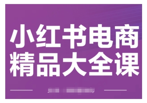 小红书电商精品大全课，快速掌握小红书运营技巧，实现精准引流与爆单目标，轻松玩转小红书电商(更新2月)_微雨项目网