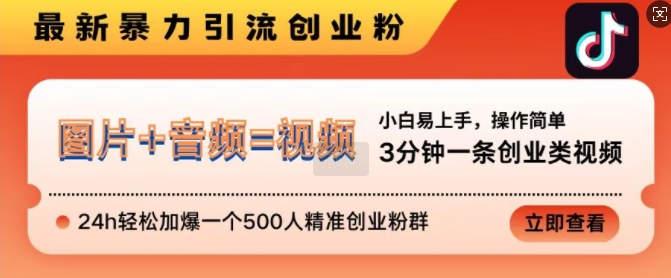 抖音最新暴力引流创业粉，3分钟一条创业类视频，24h轻松加爆一个500人精准创业粉群【揭秘】_微雨项目网