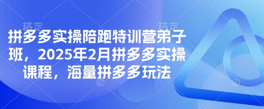 拼多多实操陪跑特训营弟子班，2025年2月拼多多实操课程，海量拼多多玩法_微雨项目网