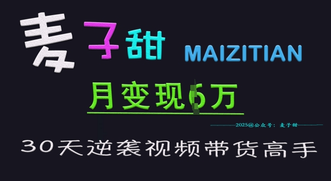 麦子甜30天逆袭视频带货高手，单月变现6W加特训营_微雨项目网