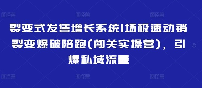 裂变式发售增长系统1场极速动销裂变爆破陪跑(闯关实操营)，引爆私域流量_微雨项目网