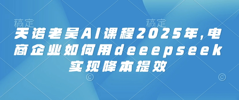 天诺老吴AI课程2025年，电商企业如何用deeepseek实现降本提效_微雨项目网