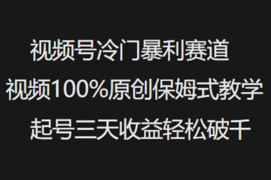 视频号冷门暴利赛道视频100%原创保姆式教学起号三天收益轻松破千_微雨项目网