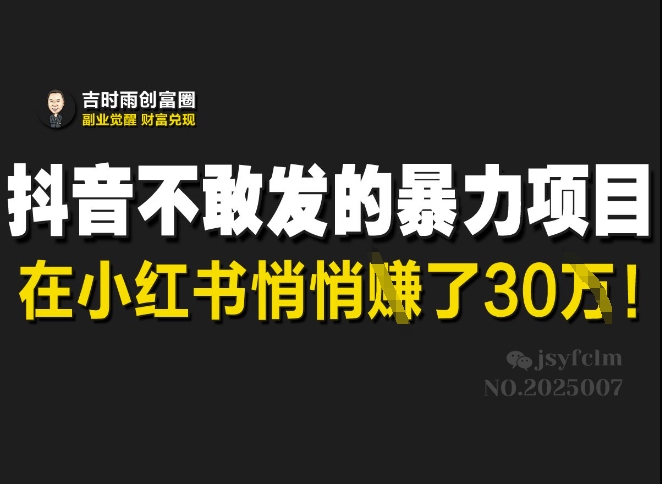 抖音不敢发的暴利项目，在小红书悄悄挣了30W_微雨项目网