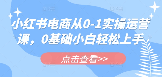 小红书电商从0-1实操运营课，0基础小白轻松上手_微雨项目网