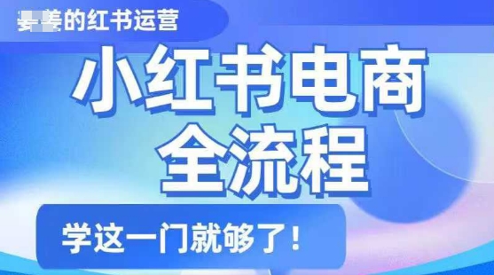 小红书电商全流程，精简易懂，从入门到精通，学这一门就够了_微雨项目网