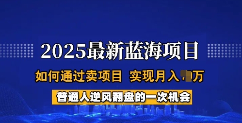 2025蓝海项目，普通人如何通过卖项目，实现月入过W，全过程【揭秘】_微雨项目网