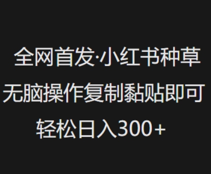 全网首发，小红书种草无脑操作，复制黏贴即可，轻松日入3张_微雨项目网