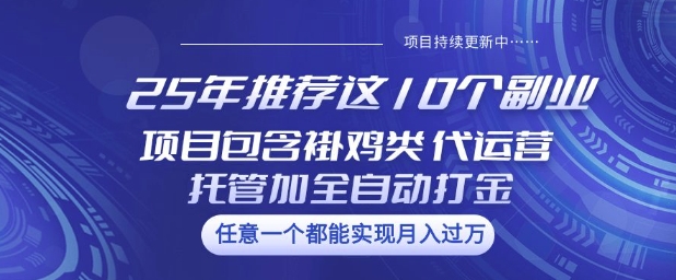 25年推荐这10个副业项目包含褂鸡类、代运营托管类、全自动打金类【揭秘】_微雨项目网