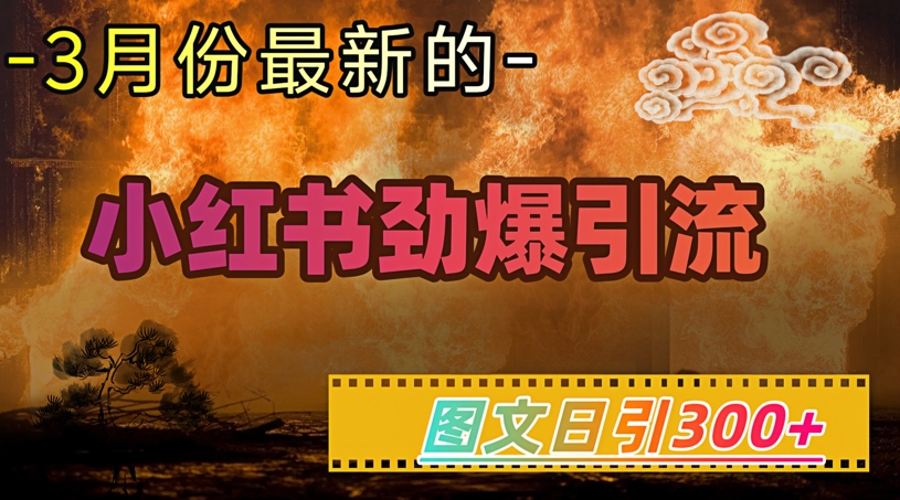 小红书超劲爆引流手段，图文日引300+轻松变现1W_微雨项目网