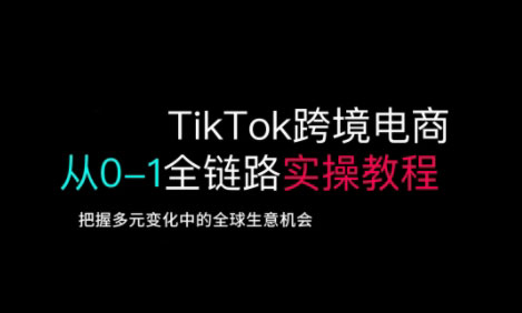 TikTok跨境电商从0-1全链路全方位实操教程，把握多元变化中的全球生意机会_微雨项目网