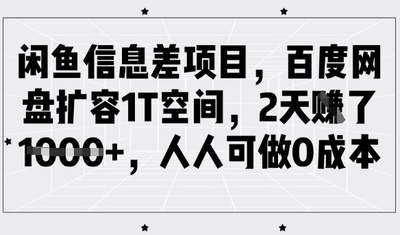 闲鱼信息差项目，百度网盘扩容1T空间，2天收益1k+，人人可做0成本_微雨项目网